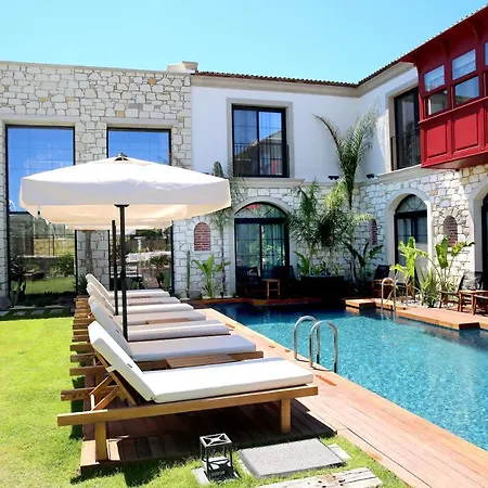 Dmira (adults Only) *