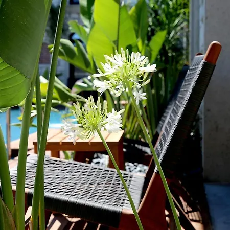 Hotel Dmira (adults Only) Alaçatı