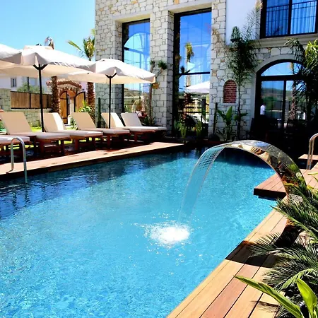 Dmira (adults Only) *