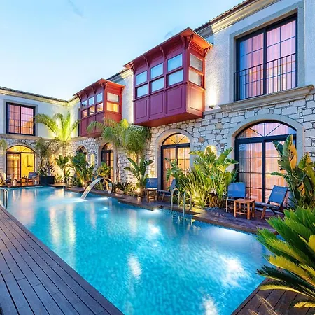 Dmira (adults Only) 알라카티