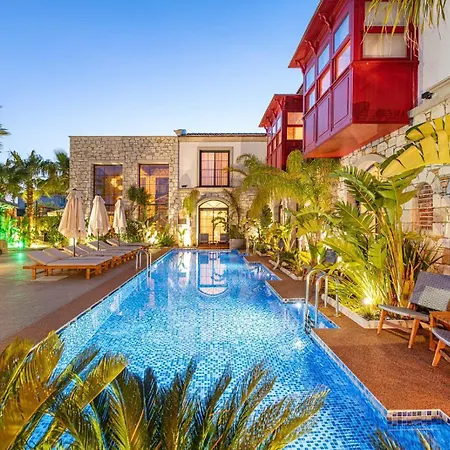 호텔 Dmira (adults Only) 알라카티